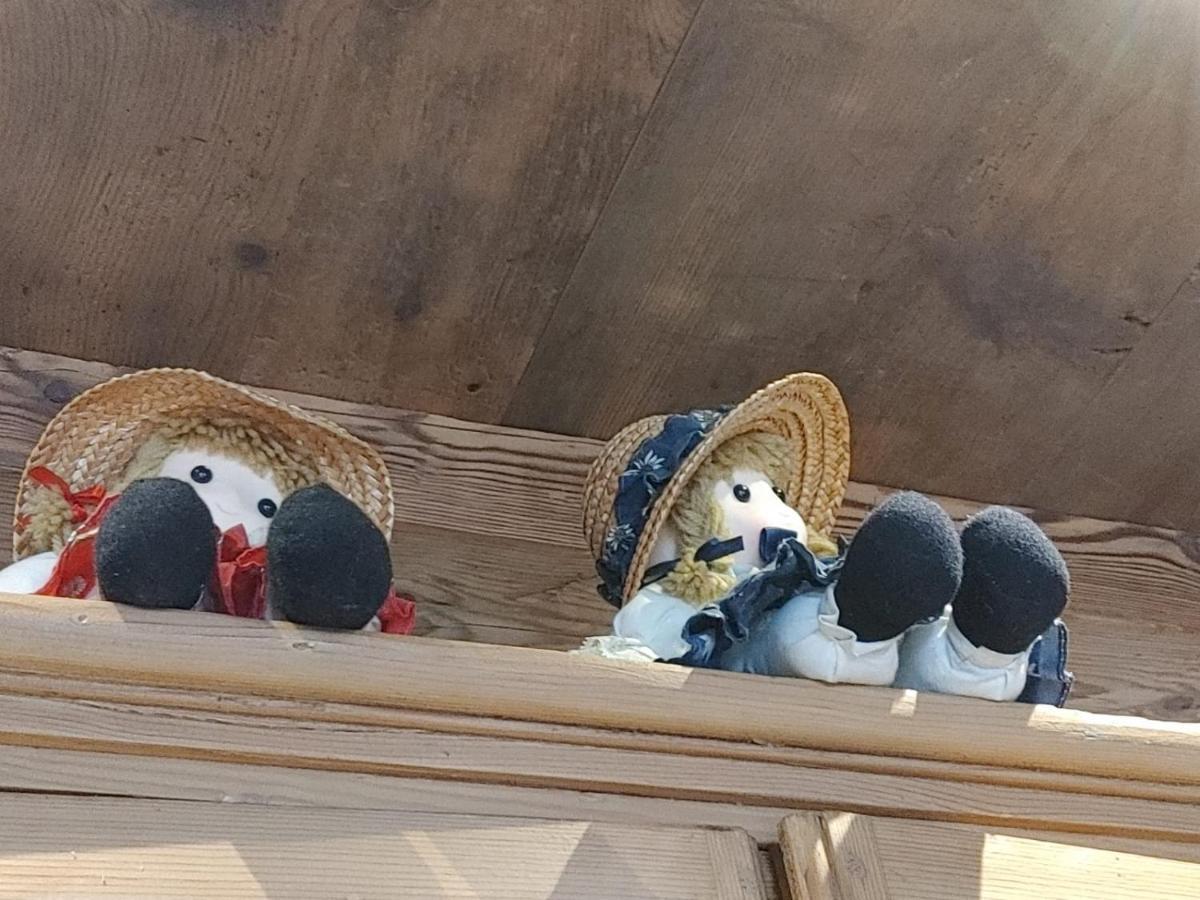 סן פייטרו די קאדורה B&B A Ceda Toa מראה חיצוני תמונה